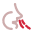 AGEasy feature icon
